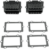 Vforce/Moto Tassinari V3130-794A-2 V-Force3 Reeds Pol Twin