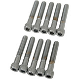 Drag Specialties 1/4-20 X 1 1/2 Sockt Head