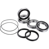 Factory Links Axle Bearing Kit - Rear - Suzuki Quadracer Ara-S-005 Factory Links Axle Bearing Kit - Rear - Suzuki Quadracer Ara-S-005