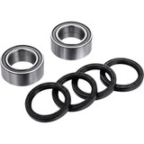 Factory Links Ara-A-007 Wheel Bearing Kit - Rear