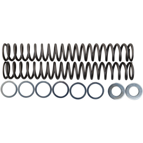 Race Tech Fork Springs - 1.10 Kg/Mm Frsp S4430110