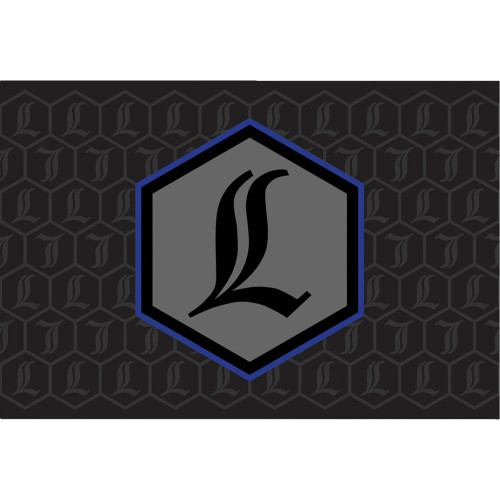 Legend Suspension 43202406 Decal Canister R-Arc Blue