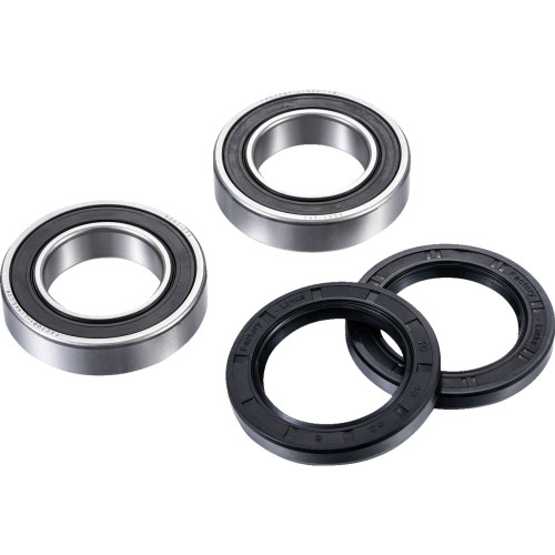 Factory Links Axle Bearing Kit - Rear Ara-Y-011