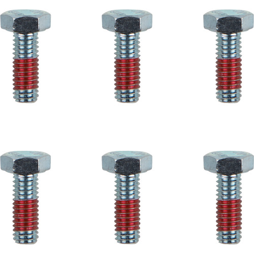 Moto-Master Bolts - Rotor - M6 X 17 12021-Pu