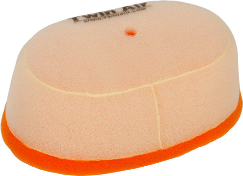 Twin Air Air Filter 152384