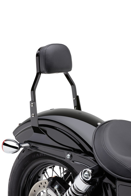 Cobra Mini Sissy Bar Black Flh/Flt 07-17 602-1101B