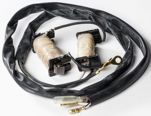 Ricks 22-780 Stator Kit