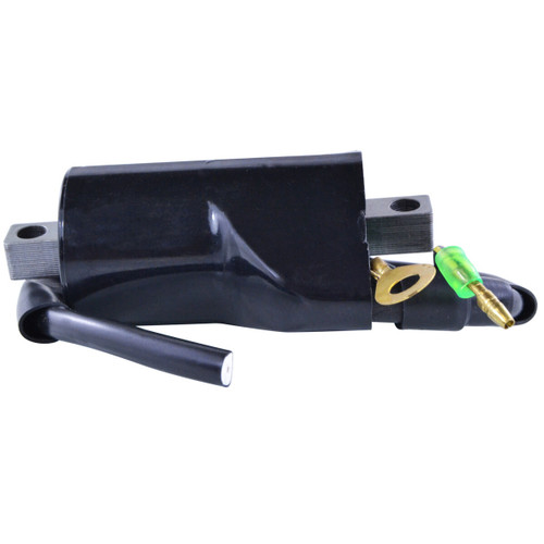 Rm Stator External Ignition Coil Rm06056