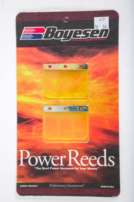 Boyesen 617 Motorcycle Reeds