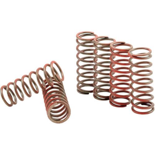 Hinson Racing Clutch Spring Kit Cs216-6-0315