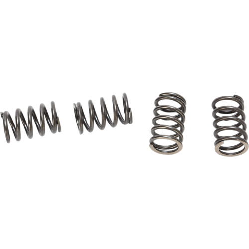 Bbr Motorsports Hd Clutch Springs - Drz/Klx110 410-Klx-1105 Bbr Motorsports Hd Clutch Springs - Drz/Klx110 410-Klx-1105