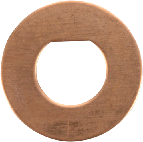 Cycle Craft Friction Washers 10/Pk 39-21252