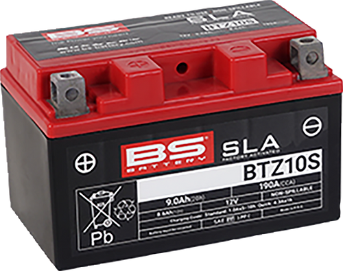 Bs Battery 300636-1 Battery Bs Btz10S (Fa)