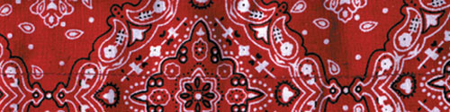 Bobster Dc106 Cooldanna, 100% Cotton, Red Paisley