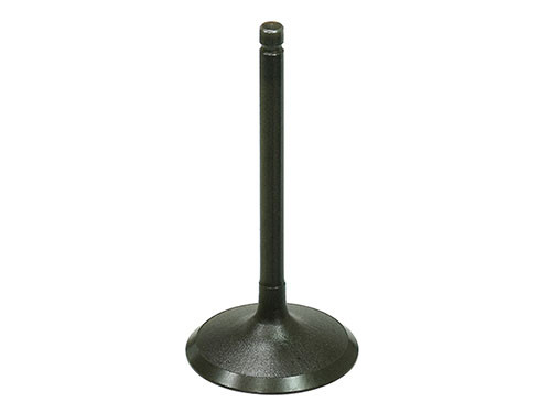 Bronco Products Au-09219I Bronco Intake Valve