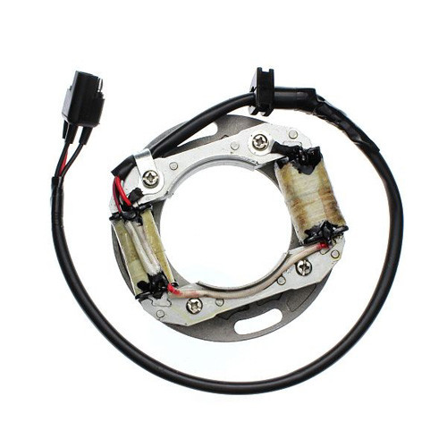 Electrosport Esc8081 Stator Suzuki Rm