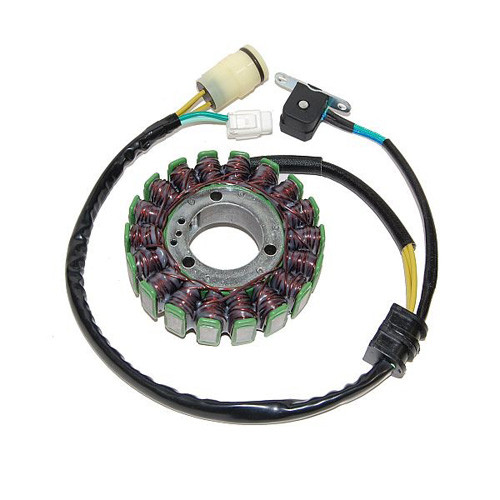 Electrosport Esg950 Electrosport Stator Yamaha Yfm660 Raptor (300W)