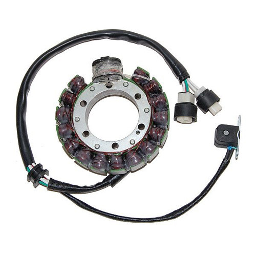 Electrosport Esg432 Electrosport Stator Yamaha Yfm350 Warrior/Big Bear