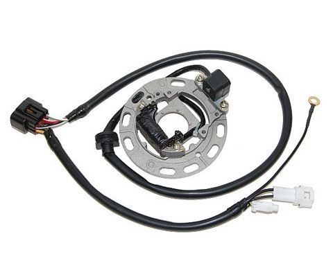 Electrosport Esc1370 Electrosport Stator Kx85 / Kx100 (06-12)