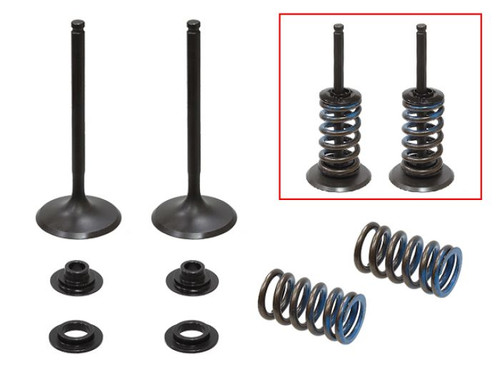 Psychic Products Xu-09556Ik Psychic Intake Valve Kit