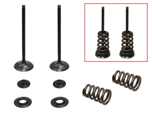 Psychic Products Xu-09550Ik Psychic Intake Valve Kit