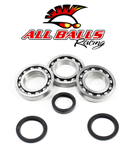 All Balls Racing Differential Kit.