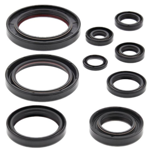 Vertex Engine Oil Seal Kit 822352