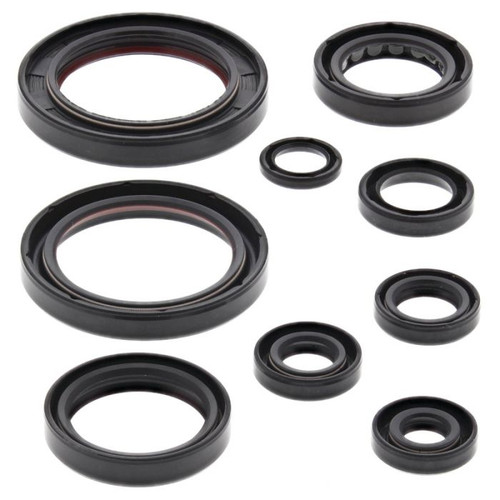 Vertex Engine Oil Seal Kit 822357
