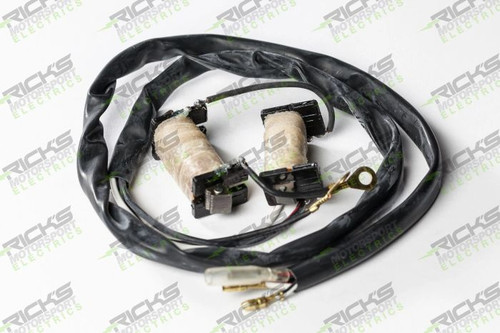Rick'S Rick'S Electric Stator Kit