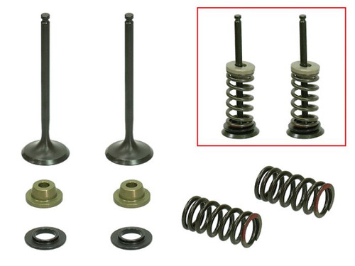 Psychic Exhaust Valve Kit XU-09519EK