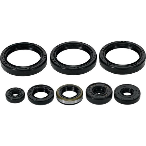 Vertex Engine Oil Seal Kit 822403