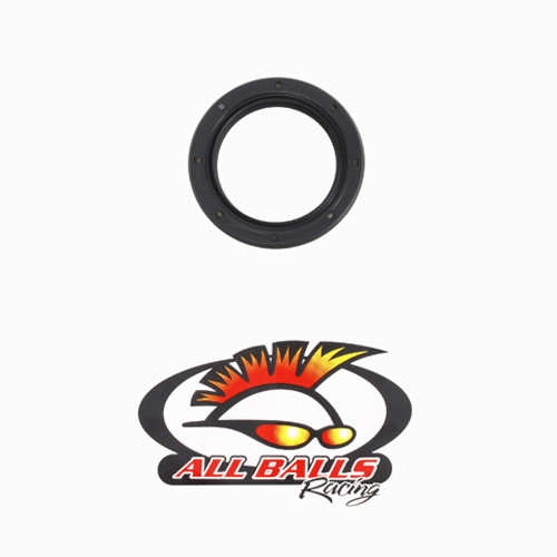 All Balls Racing Double Lipped Seal