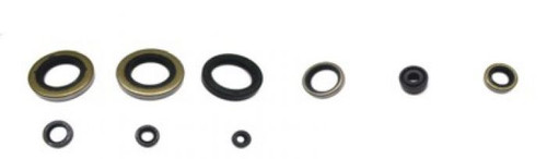 Psychic Engine Oil Seal Kit AT-09616
