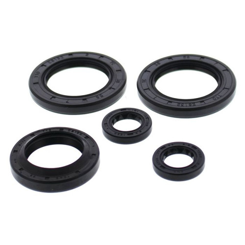 Vertex Engine Oil Seal Kit 822144