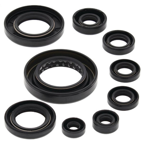 Vertex Engine Oil Seal Kit 822351