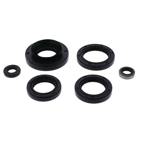 Vertex Engine Oil Seal Kit 822366