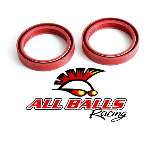 All Balls Racing Fork Seal Kit 55-123