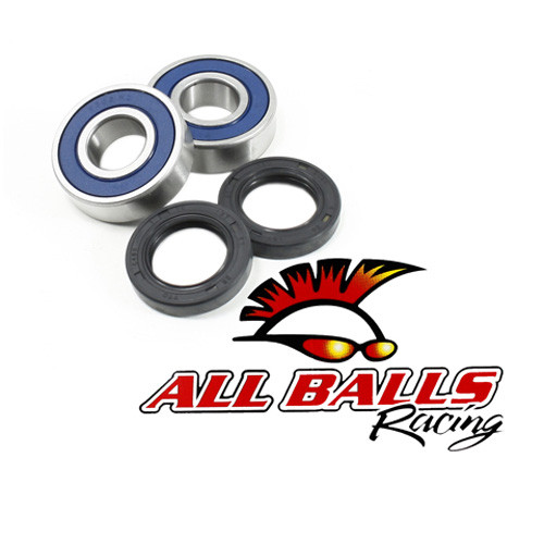 All Balls Racing Wheel Bearing Kit 25-1369