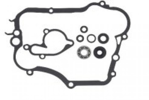 Psychic Water Pump Repair Kit MX-10261