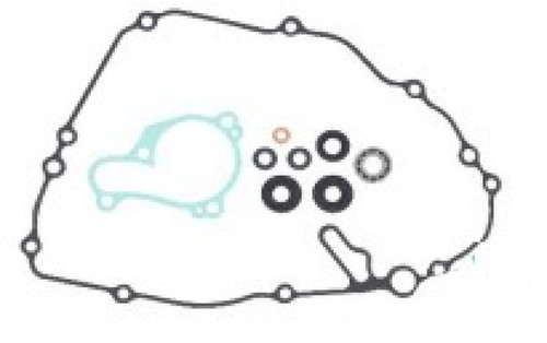 Psychic Water Pump Repair Kit MX-10262