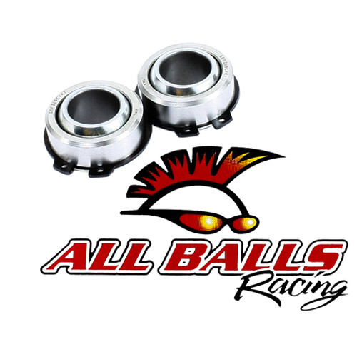 All Balls Racing Swing Arm Bearing Kit 28-1095