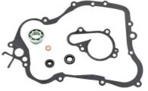 Psychic Waterpump Repair Kit MX-10232