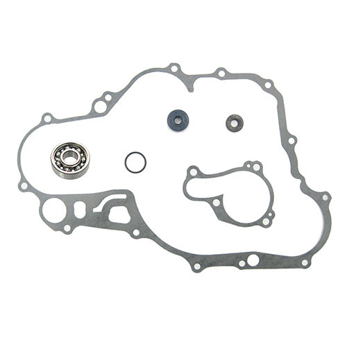 Psychic Waterpump Repair Kit MX-10234