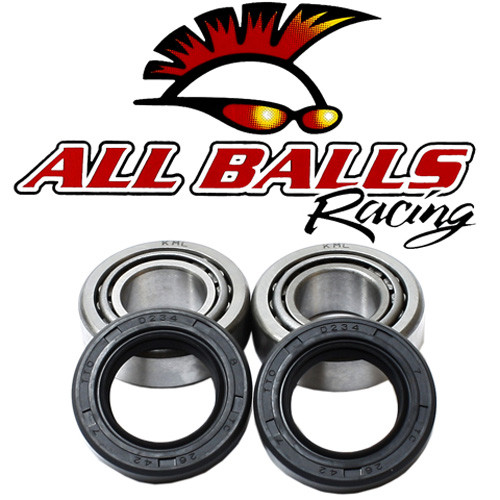 All Balls Racing Swing Arm Kit