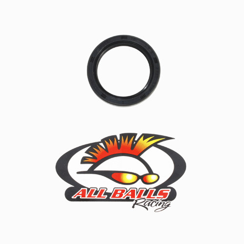 All Balls Racing Double Lipped Seal