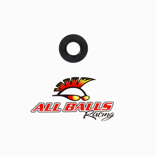 All Balls Racing Double Lip Seal
