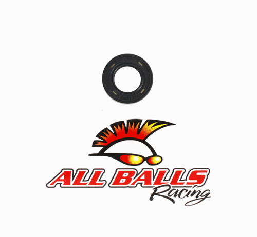 All Balls Racing Double Lip Seal