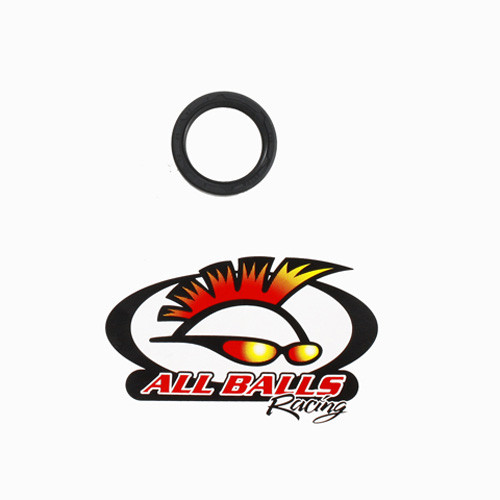 All Balls Racing Double Lip Seal