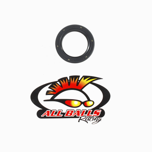 All Balls Racing Double Lip Seal