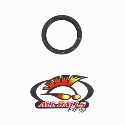 All Balls Racing Double Lipped Seal